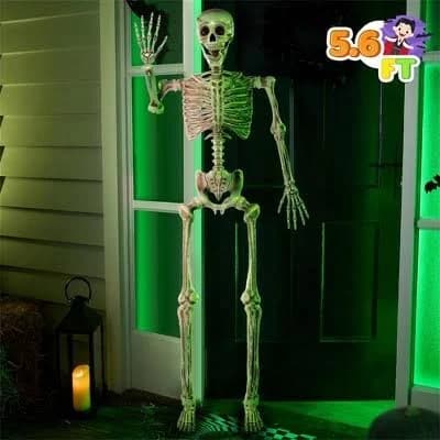 JOYIN 5.6 FT Halloween Posable Life Size Skeleton Full Body Realistic Bones with Movable Joints for Halloween Indoor and Outdoor Decoration Props Spooky Scene Party Decorations (White)