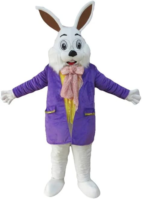 Cute Rabbit Mascot Costume