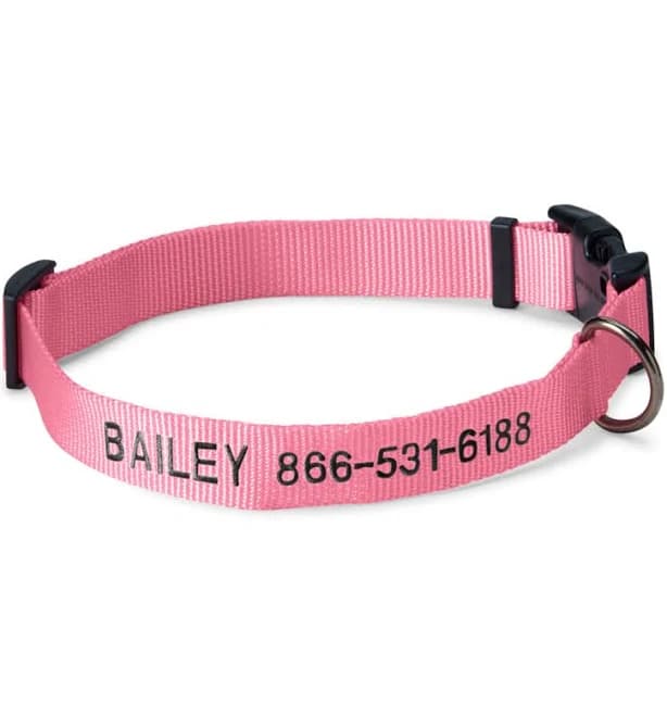 Orvis Personalized Side-Release Buckle Dog Collar