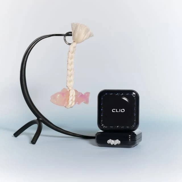 Clio Kill Cover Founwear Cushion Set