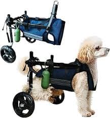 Amazon.com: Royal Dog Small Dog Wheelchair for Back Legs, Wheelchair for Dogs with Reflective Strips, Breathable Mesh Fabric, Comfortable & Adjustable Design (Small) : Pet Supplies