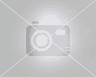 Video frame trigger