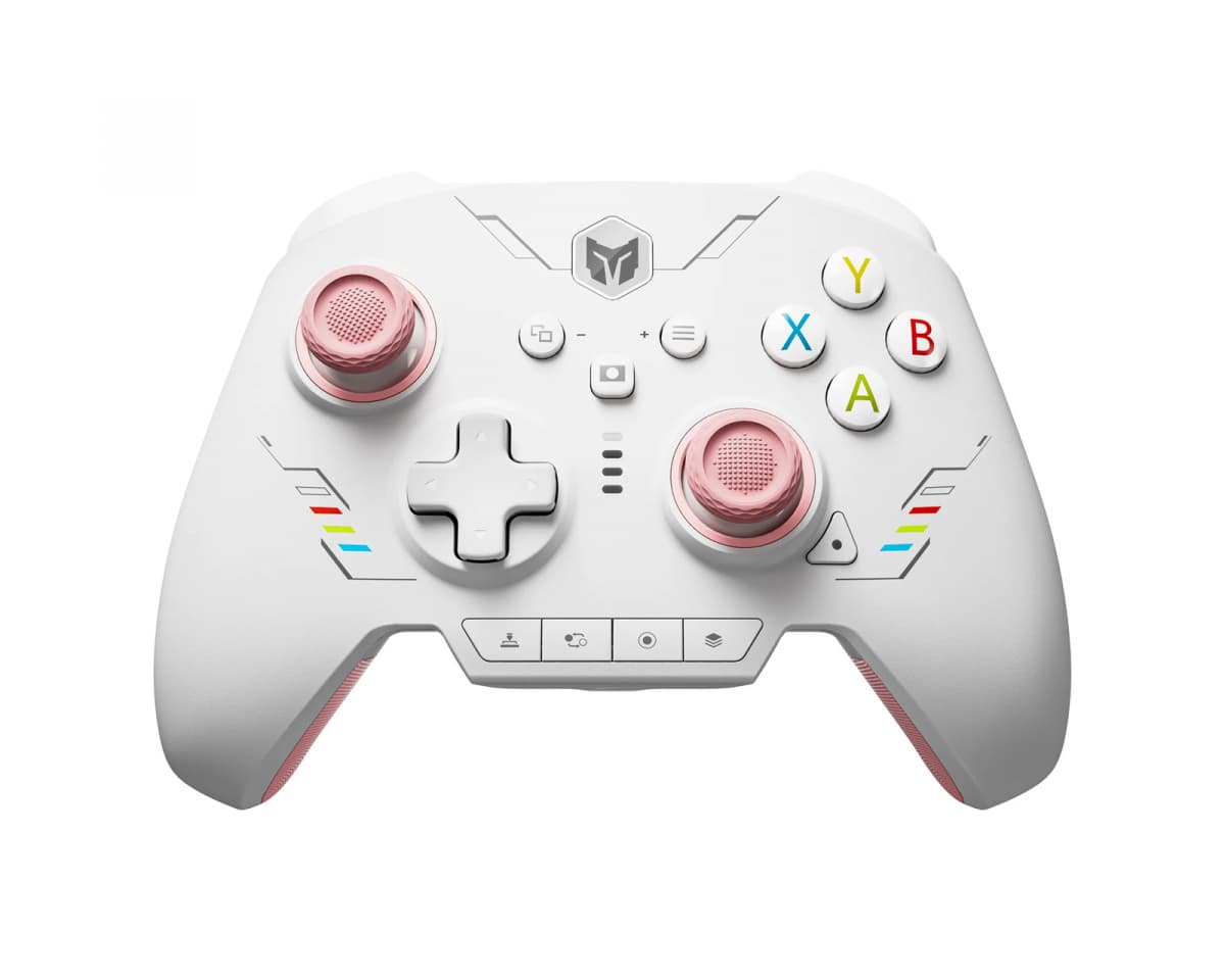 Bigbig Won Rainbow 2 SE Wireless Gaming Controller