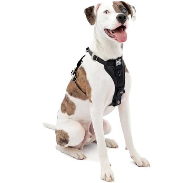 Kurgo Tru-Fit Enhanced Strength Smart Dog Harness
