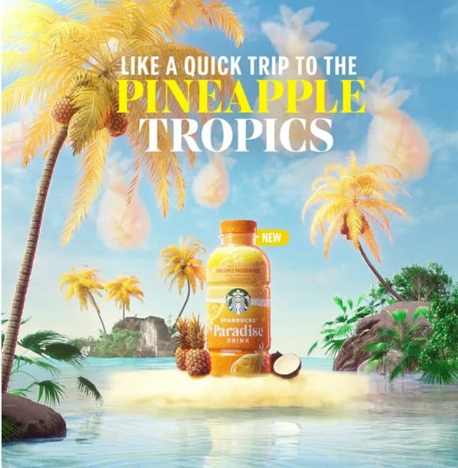 Starbucks Paradise Drink, 14 Oz ,12 Count
