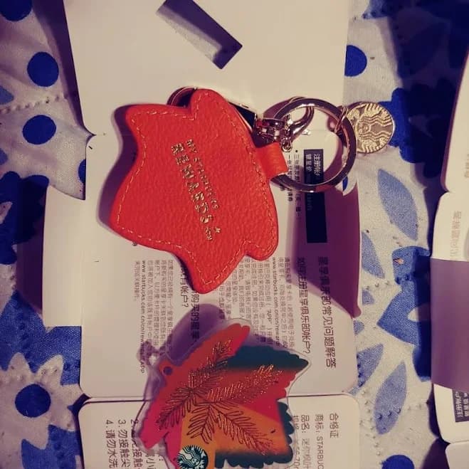 Starbucks Keychain with Card