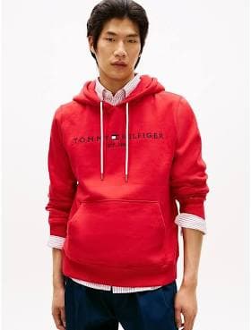 Tommy Hilfiger Men's Embroidered Hoodie