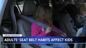 Pipa Aire Rear Facing Nuna Pipa Car Seat Age Adult Seat Belt Habits Can Affect Kids,