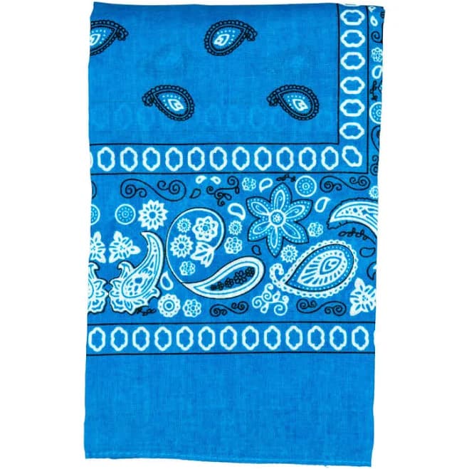 Bandana Light Blue Paisley