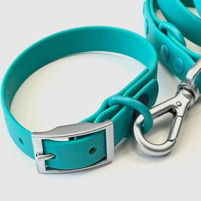 Teal Waterproof Dog Collar