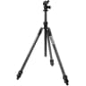 Video frame trigger