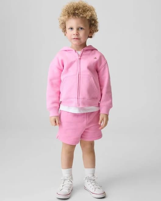 Gap Toddler & Vintagesoft Zip Hoodie