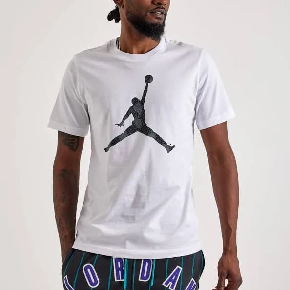 Jordan Men's Sport Dri-fit T-Shirt