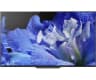 Video frame trigger
