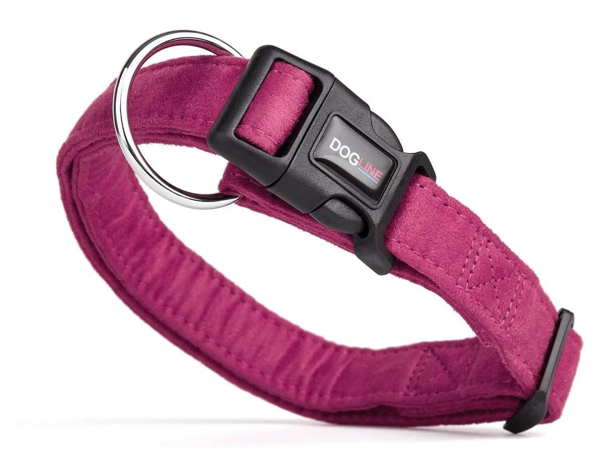 DogLine Comfort Microfiber Flat Dog Collar