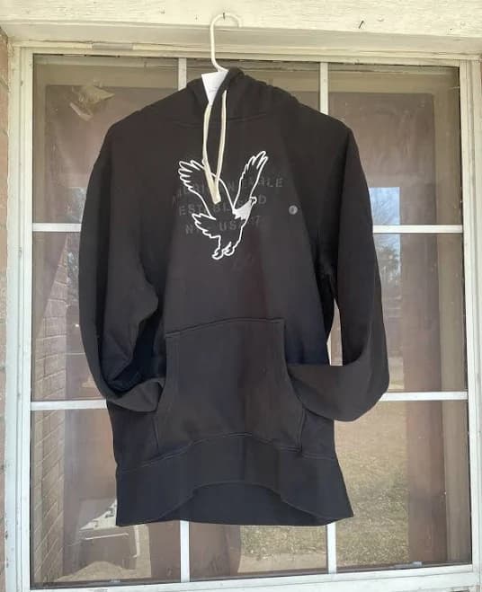 American Eagle Logo Hoodie