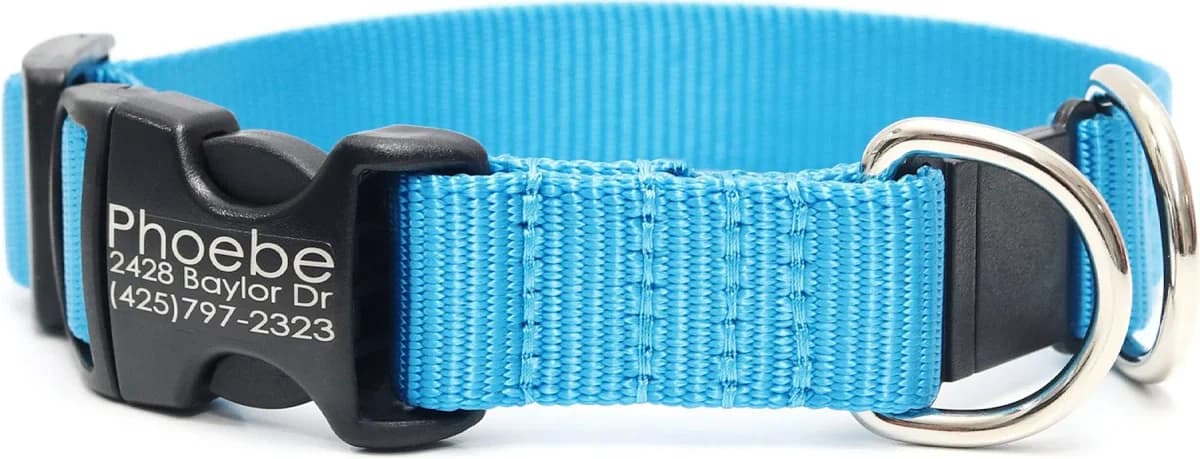 Mimi Green Breakaway Personalized Nylon Dog Collar