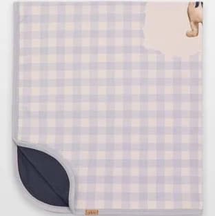 Blue & White Baby Boy Blanket with Teddy Bear and Gingham Pattern