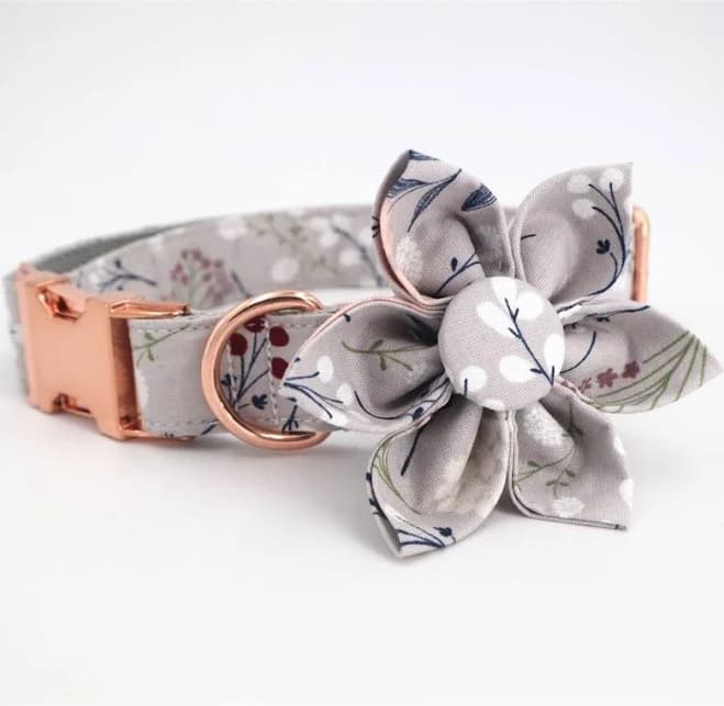Floral Dog Collar & Leash Set