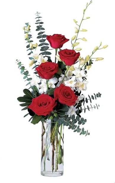 Flowers | Same Day Flower Delivery | Red Roses and White Orchids | Send Flowers