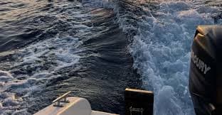 Private: Romantic Sunset to Ksamil Islands with Sailing Boat | GetYourGuide