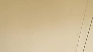 Amazon.com: Rust-Oleum 282816-6PK Universal All Surface Spray Paint, 12 oz, Matte French Cream, 6 Pack : Everything Else