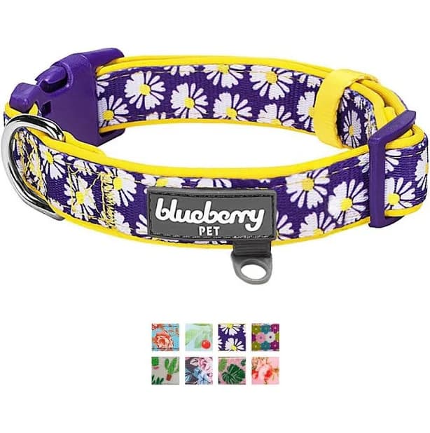 Blueberry Pet Floral Prints Neoprene Padded Dog Collar