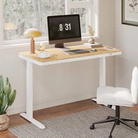 FlexiSpot 48"x24" White Bamboo Texture Standing Desk