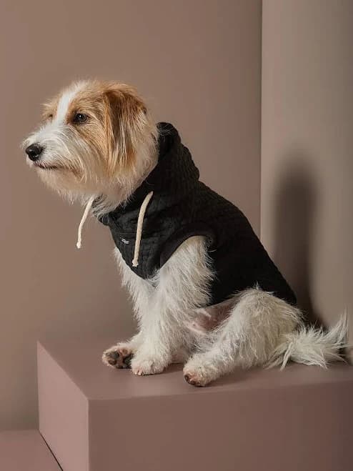 Textured Hooded Vest for dogs