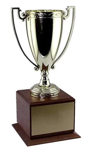 Trophy Cups - Gold Trophy Cup with Handles