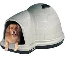 Petmate Indigo Igloo Dog House Review