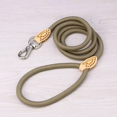Sewchics Beige Dog Leash for Pets, Outdoor Adventure Leash, Comfortable Grip, 1 Piece, Size: 48.4 x 0.4 x 0.3