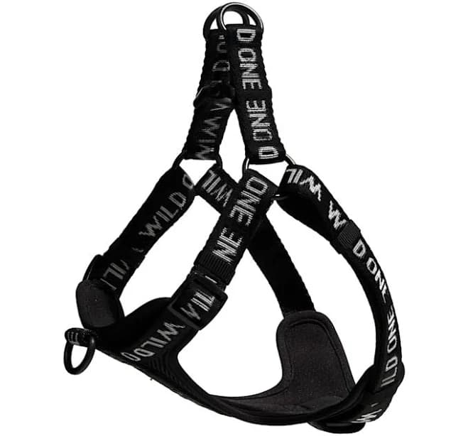 Wild One Colorblock Step-In Dog Harness