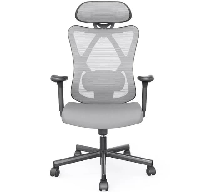 Indrie Gray Fabric Ergonomic Swivel Office Chair
