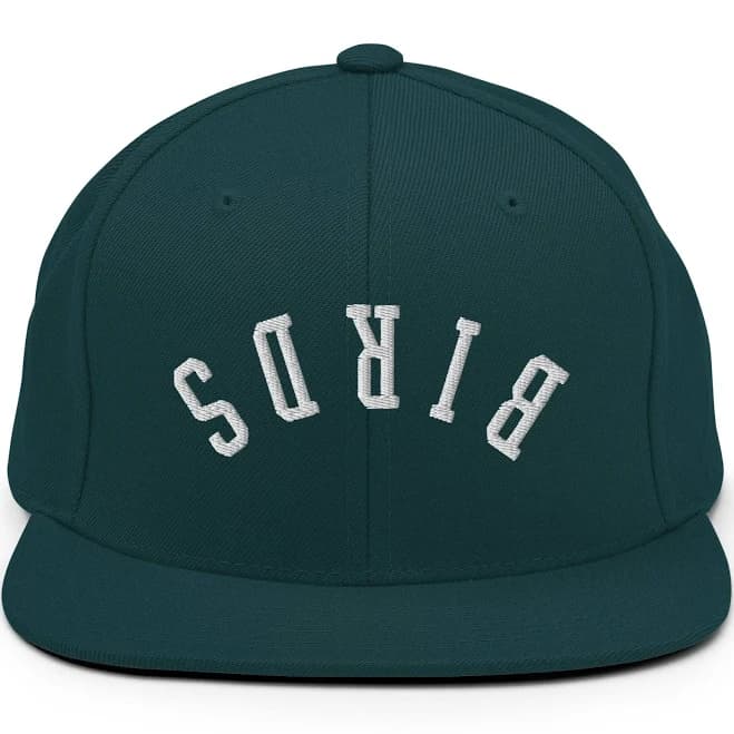 Upside Down birds Embroidered Snapback Hat