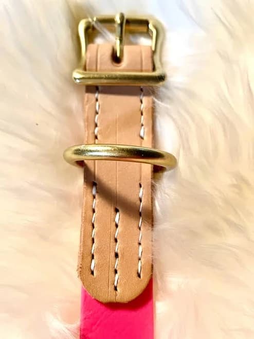Two-Tone Natural American Vachetta Leather and Passion Fruit Pink Biothane Dog Collar w/Rustproof Shiny Solid Brass Roller Buckle and D-Ring, Fun and