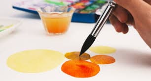 Amazon.com: PHOENIX Squirrel Hair Watercolor Paint Brush Set - 4 PCS Professional Blend Mop Round Paint Brush (Size 4,6,10,14) - Fine Point Detail Medium Water Brushes
