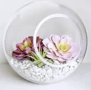 Round Glass Succulent Terrarium | Projects | Michaels