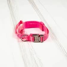 Tactical Nylon Dog Collar Neon Pink - X-Large