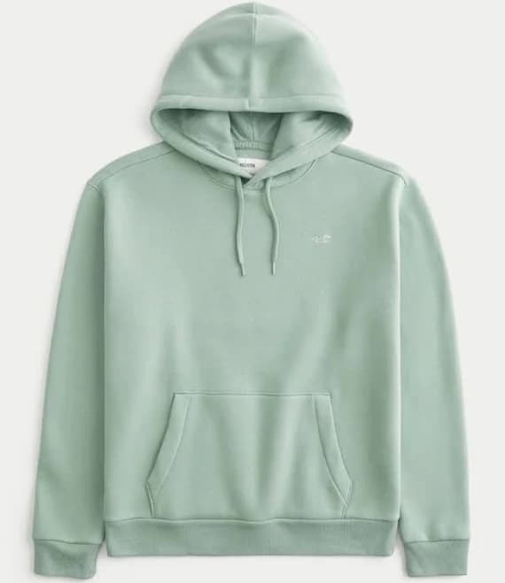 Hollister Men's Icon Hoodie