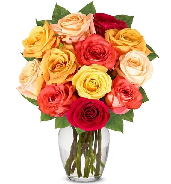 One Dozen Fall Roses