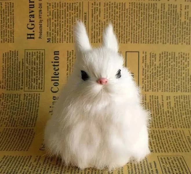 Realistic Fur Fluffy Animals