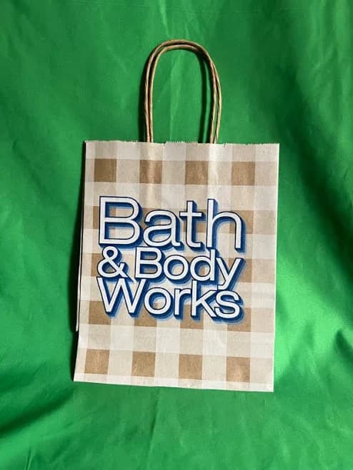 Bath & Body Works Paper Shopping Bag Lot Of 2 Bags