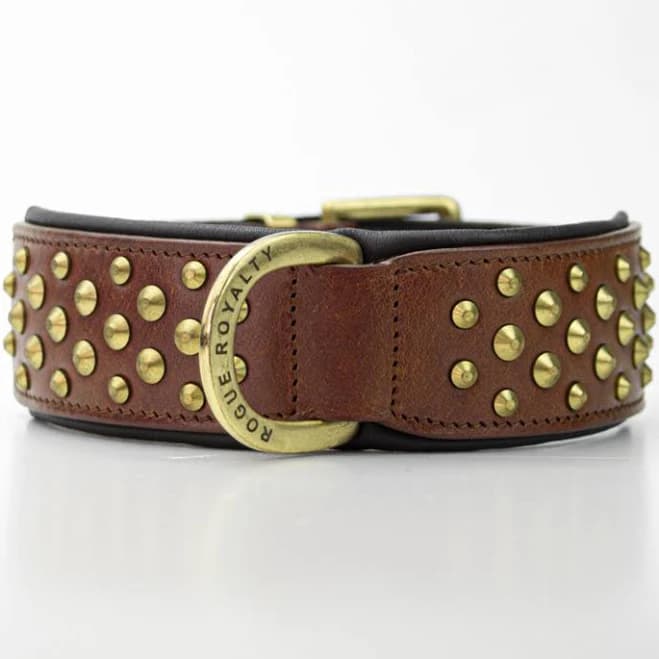 Rogue Ruffneck Studded Dog Collar