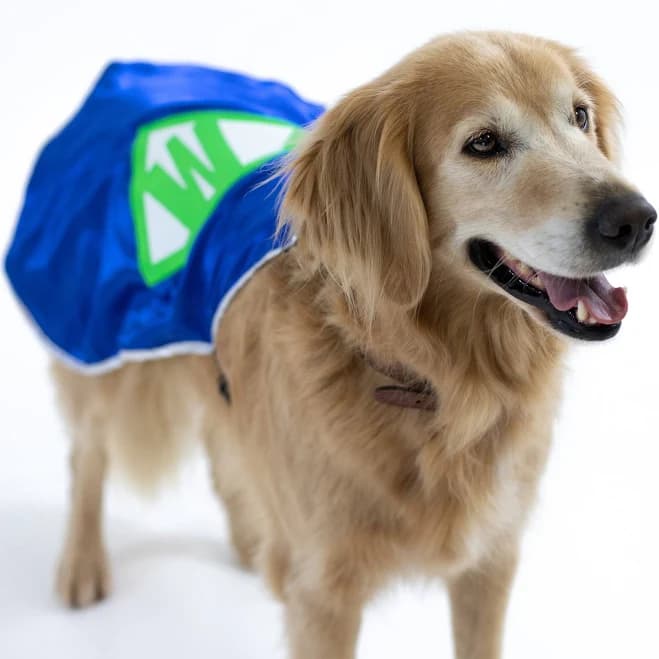 Personalized Dog Superhero Cape