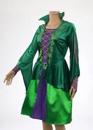 Amazon.com: Disney Hocus Pocus WINI Classic Adult Costume, Green, Small (4-6) : Clothing, Shoes & Jewelry