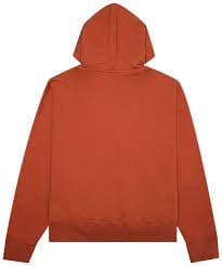 Buy Palm Angels PA Bear Hoodie 'Red/Brown' - PMBB058F21FLE0072760 | GOAT
