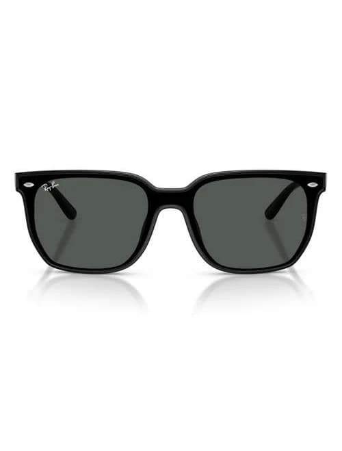 Ray-Ban RB4466D Sunglasses