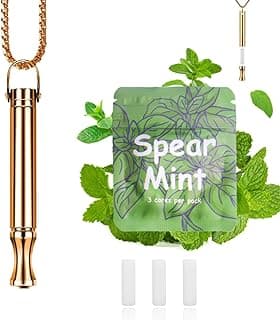 Breathing Necklace to Quit Smoking and Vaping with Refillable Mint Pods Stop Smoking Aids Fidget Necklace for Anxiety Relief Smokeless Inhaler for Adults (Gold)