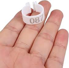 Amazon.com : Milisten 100pcs Poultry Leg Bands Numbered Bird Identification for Chickens Pigeons Birds Easy to Use Sturdy Material Colorful Design for Quick Recognition : Patio, Lawn & Garden